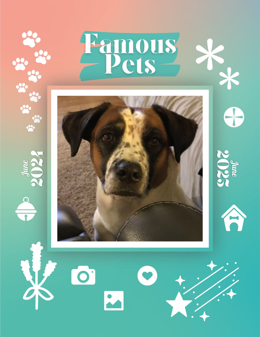 Famous Pets: June 2024-June 2025 Wall Calendar (Pre-Order)