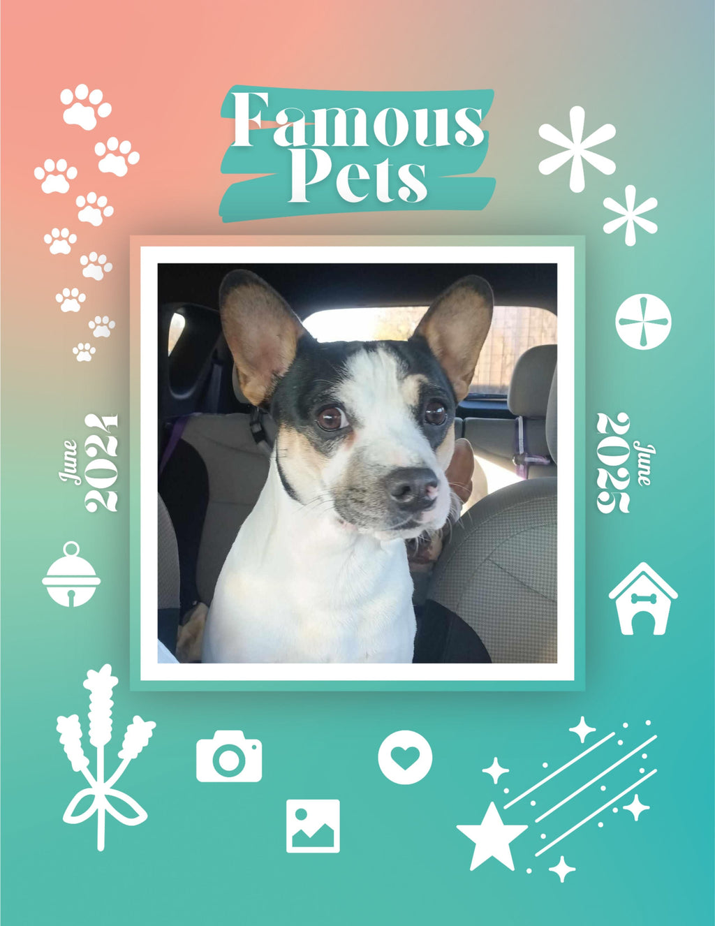 Famous Pets: June 2024-June 2025 Wall Calendar (Pre-Order)