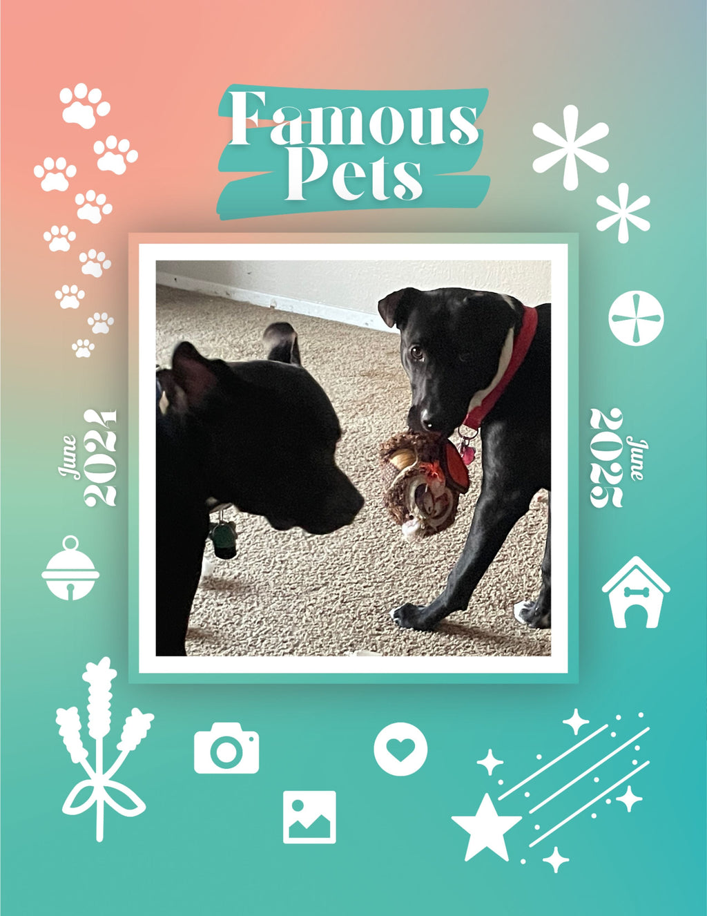 Famous Pets: June 2024-June 2025 Wall Calendar (Pre-Order)