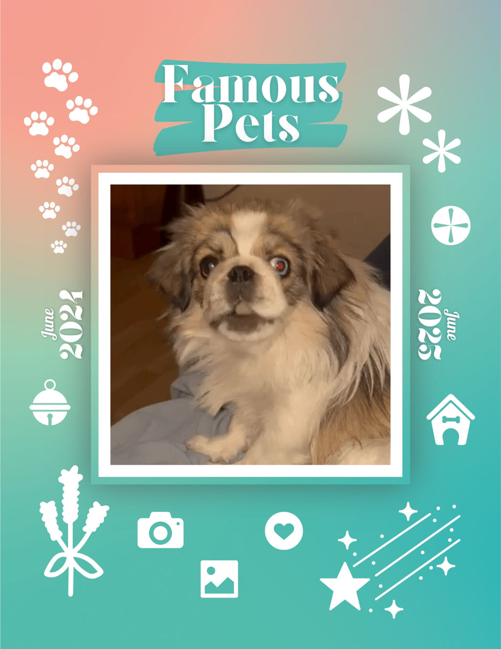 Famous Pets: June 2024-June 2025 Wall Calendar (Pre-Order)