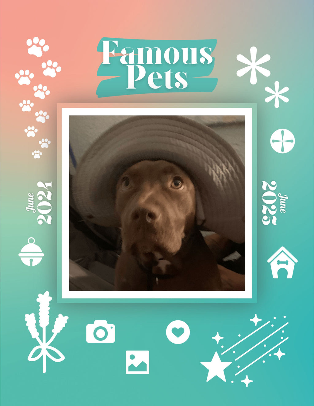 Famous Pets: June 2024-June 2025 Wall Calendar (Pre-Order)