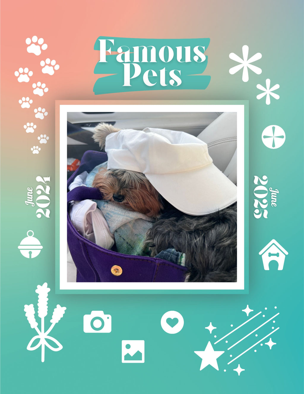 Famous Pets: June 2024-June 2025 Wall Calendar (Pre-Order)