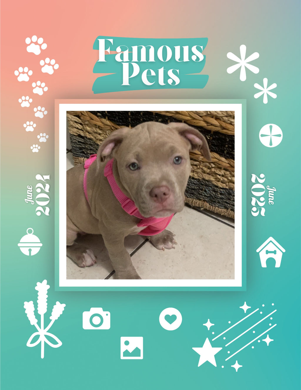 Famous Pets: June 2024-June 2025 Wall Calendar (Pre-Order)