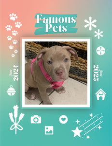 Famous Pets: June 2024-June 2025 Wall Calendar (Pre-Order)