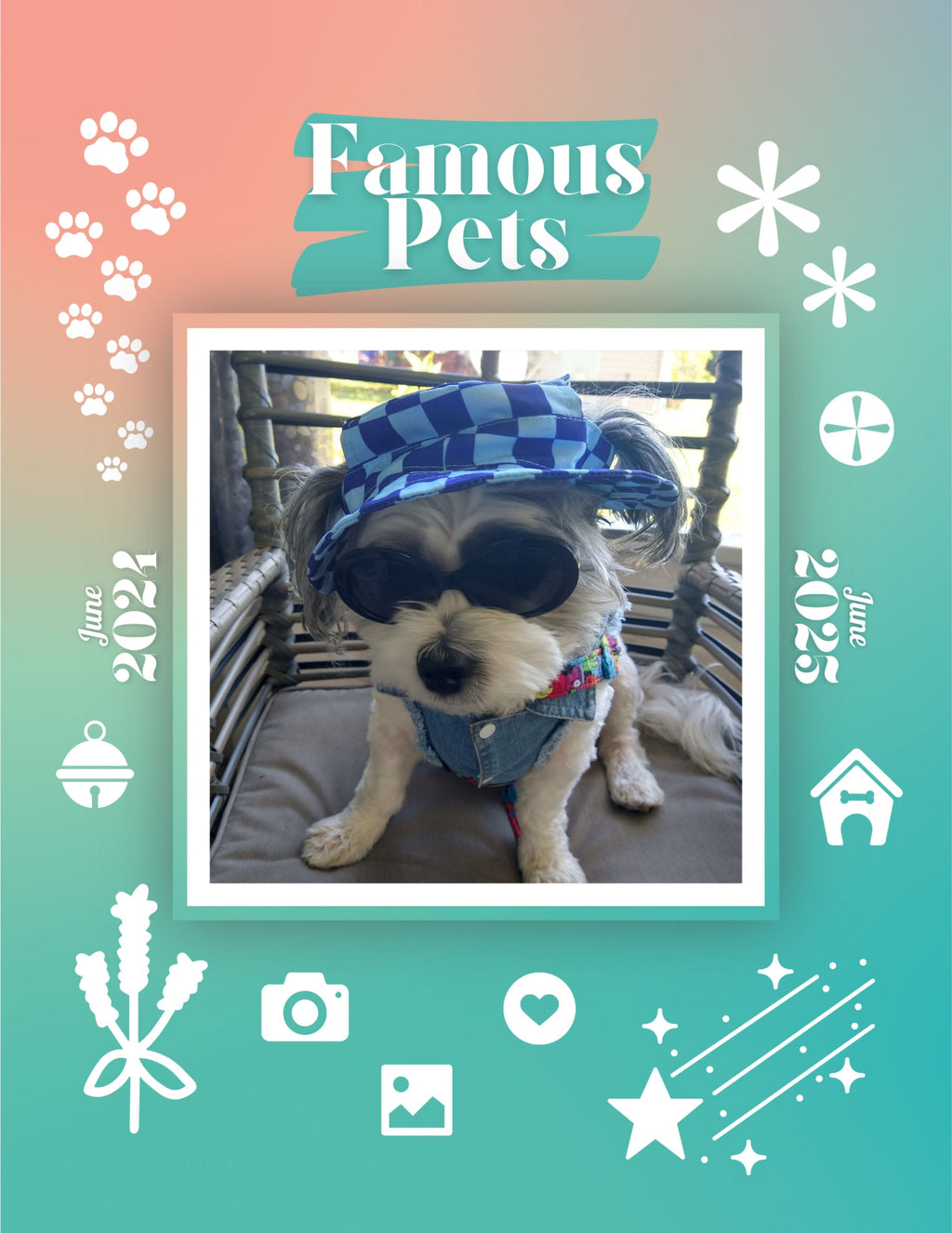 Famous Pets: June 2024-June 2025 Wall Calendar (Pre-Order)