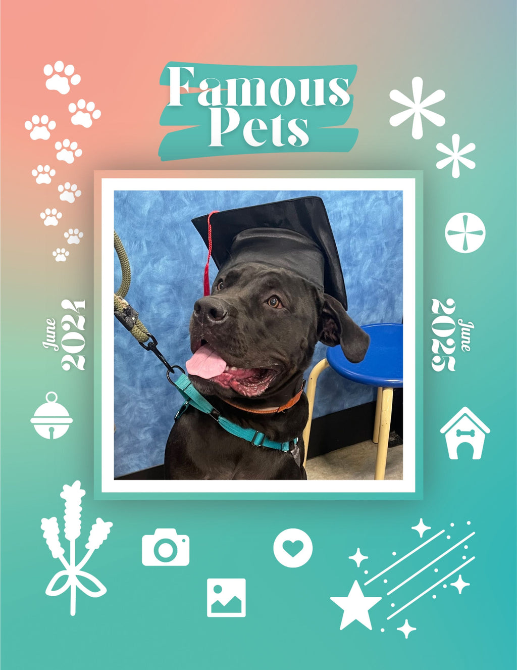 Famous Pets: June 2024-June 2025 Wall Calendar (Pre-Order)