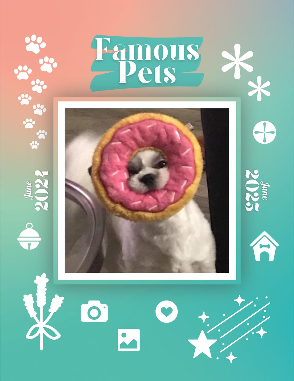Famous Pets: June 2024-June 2025 Wall Calendar (Pre-Order)