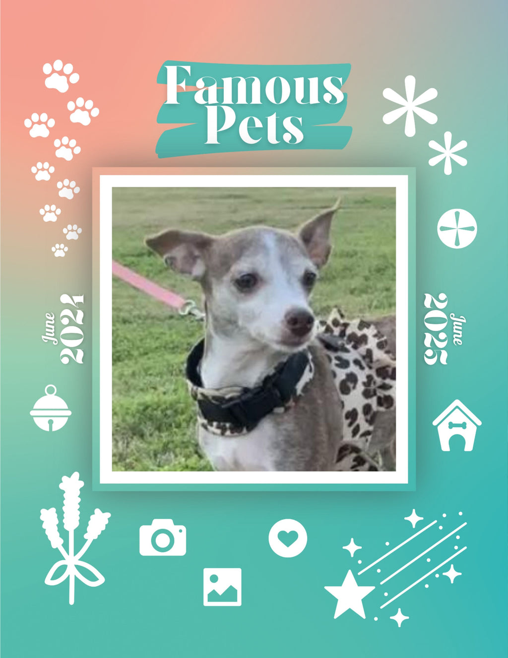 Famous Pets: June 2024-June 2025 Wall Calendar (Pre-Order)