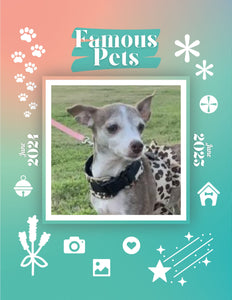 Famous Pets: June 2024-June 2025 Wall Calendar (Pre-Order)