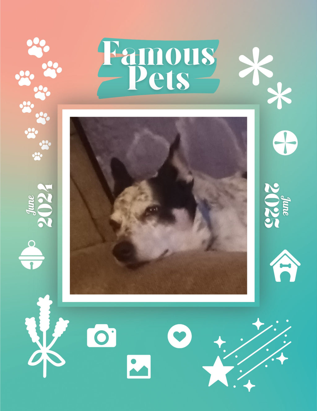 Famous Pets: June 2024-June 2025 Wall Calendar (Pre-Order)