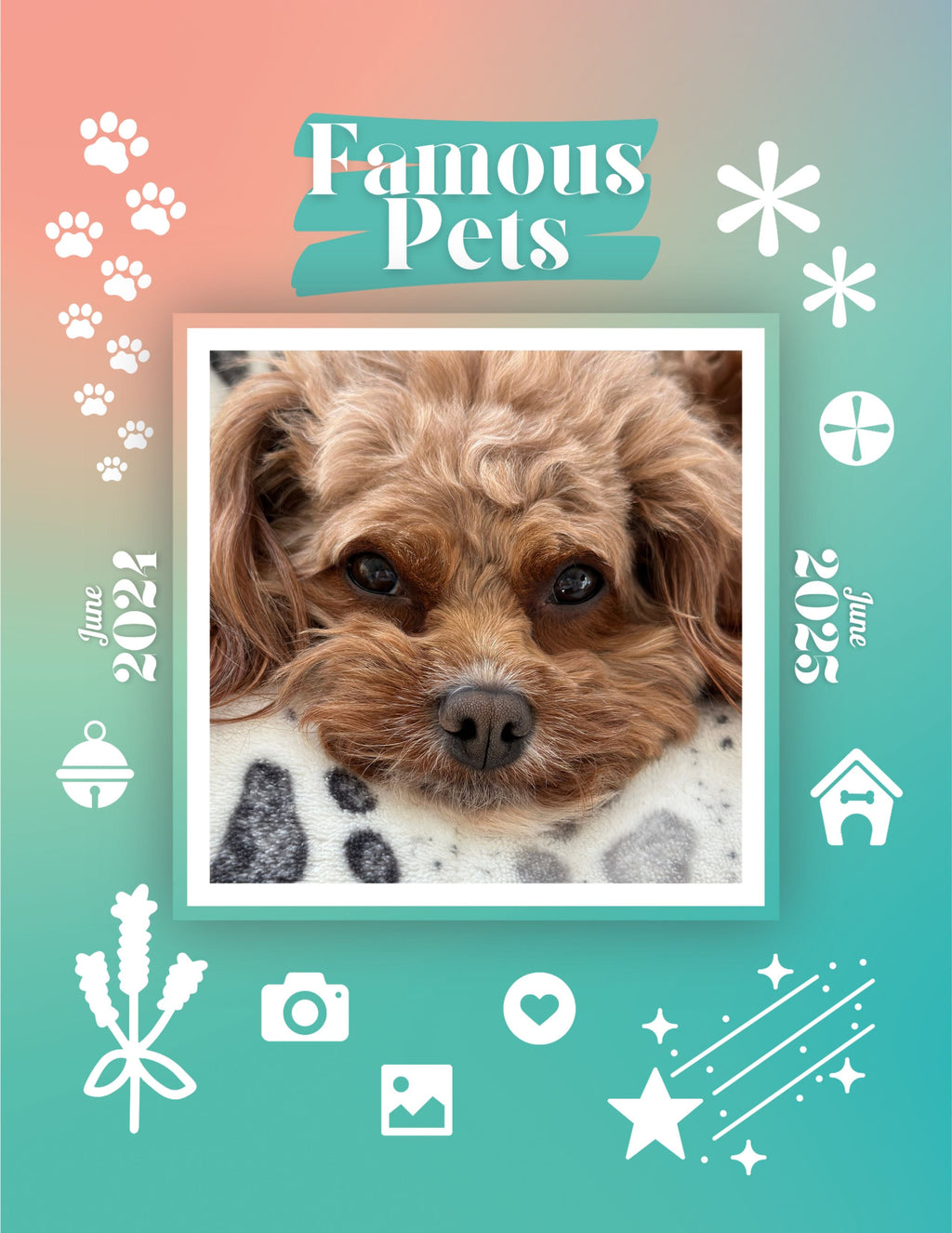 Famous Pets: June 2024-June 2025 Wall Calendar (Pre-Order)