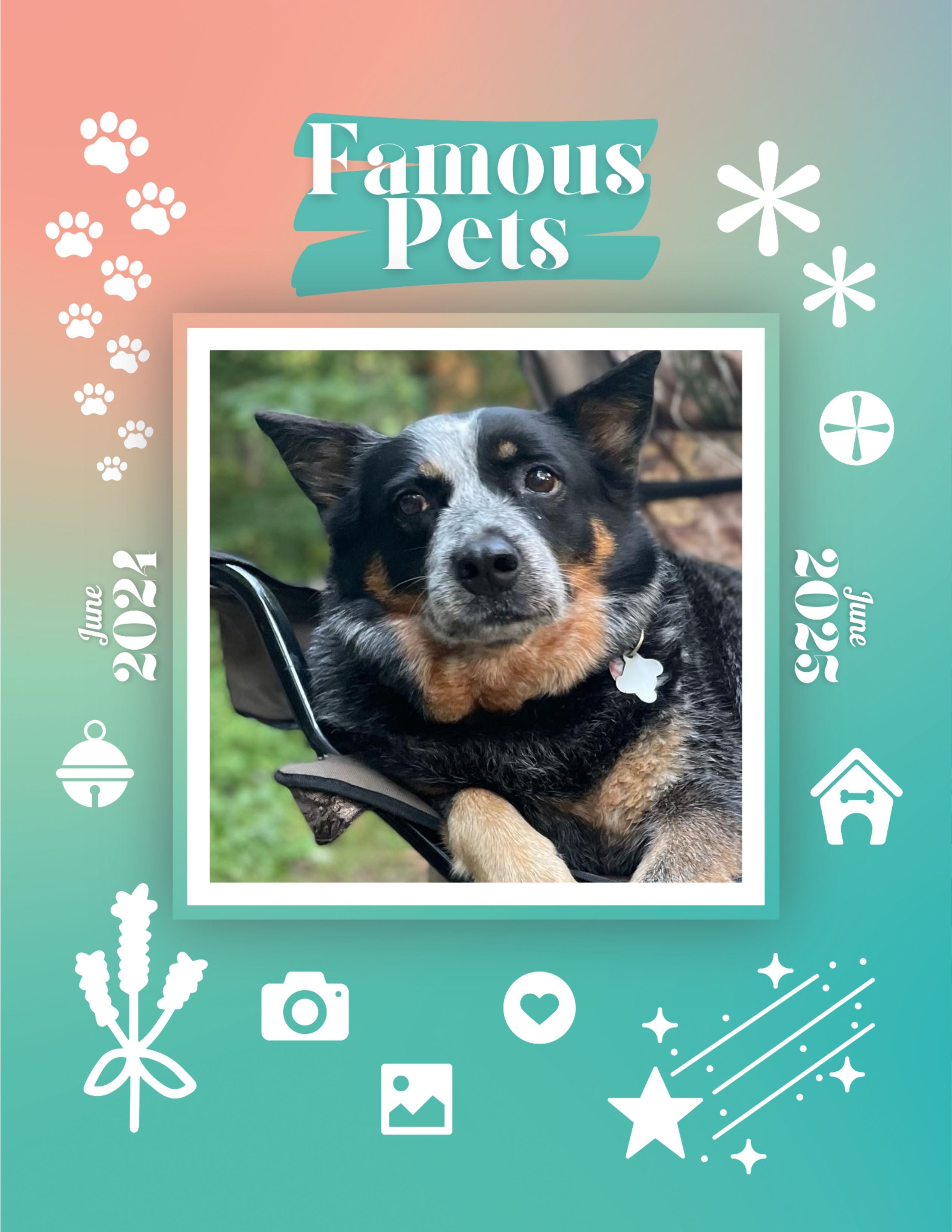 Famous Pets: June 2024-June 2025 Wall Calendar (Pre-Order)