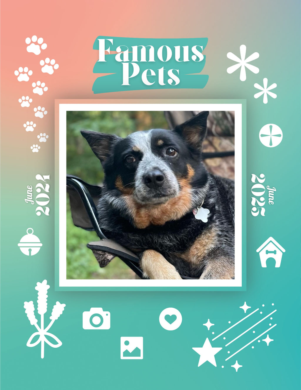 Famous Pets: June 2024-June 2025 Wall Calendar (Pre-Order)