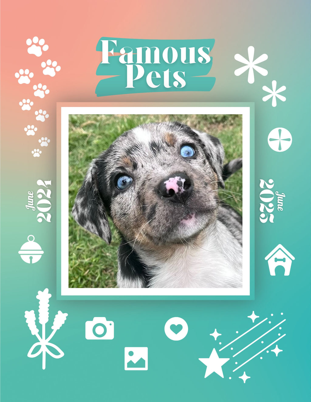 Famous Pets: June 2024-June 2025 Wall Calendar (Pre-Order)