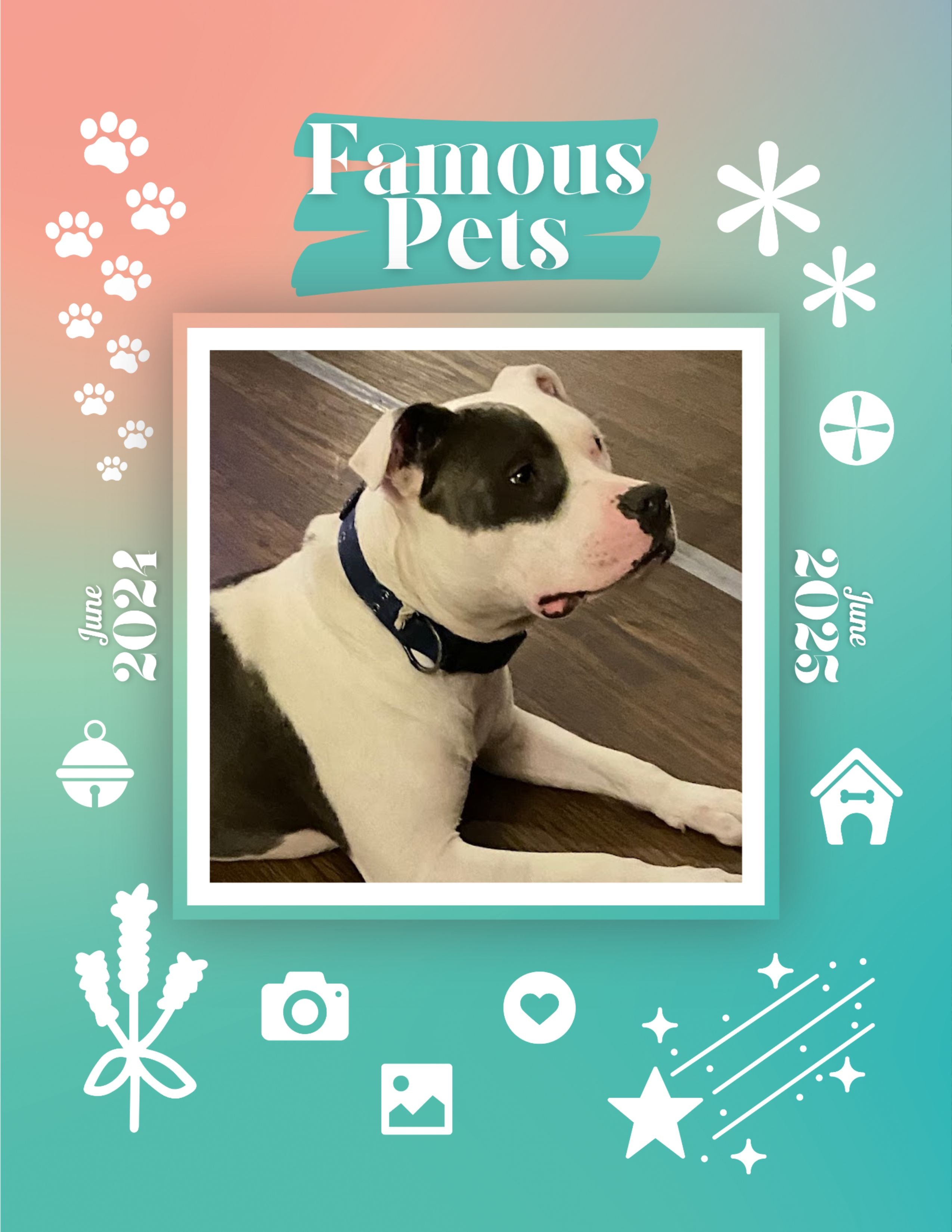 Famous Pets: June 2024-June 2025 Wall Calendar (Pre-Order)
