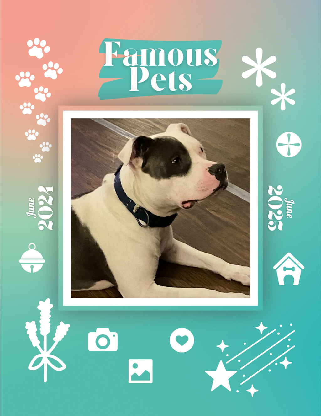 Famous Pets: June 2024-June 2025 Wall Calendar (Pre-Order)