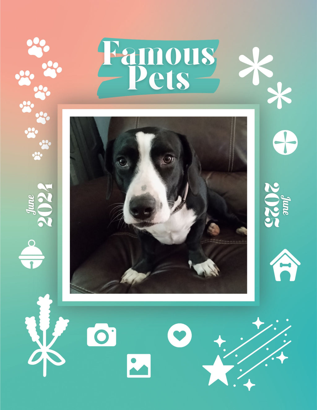 Famous Pets: June 2024-June 2025 Wall Calendar (Pre-Order)