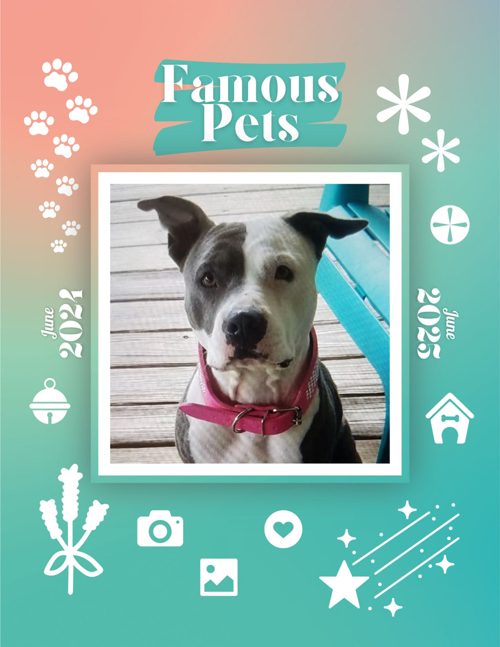 Famous Pets: June 2024-June 2025 Wall Calendar (Pre-Order)