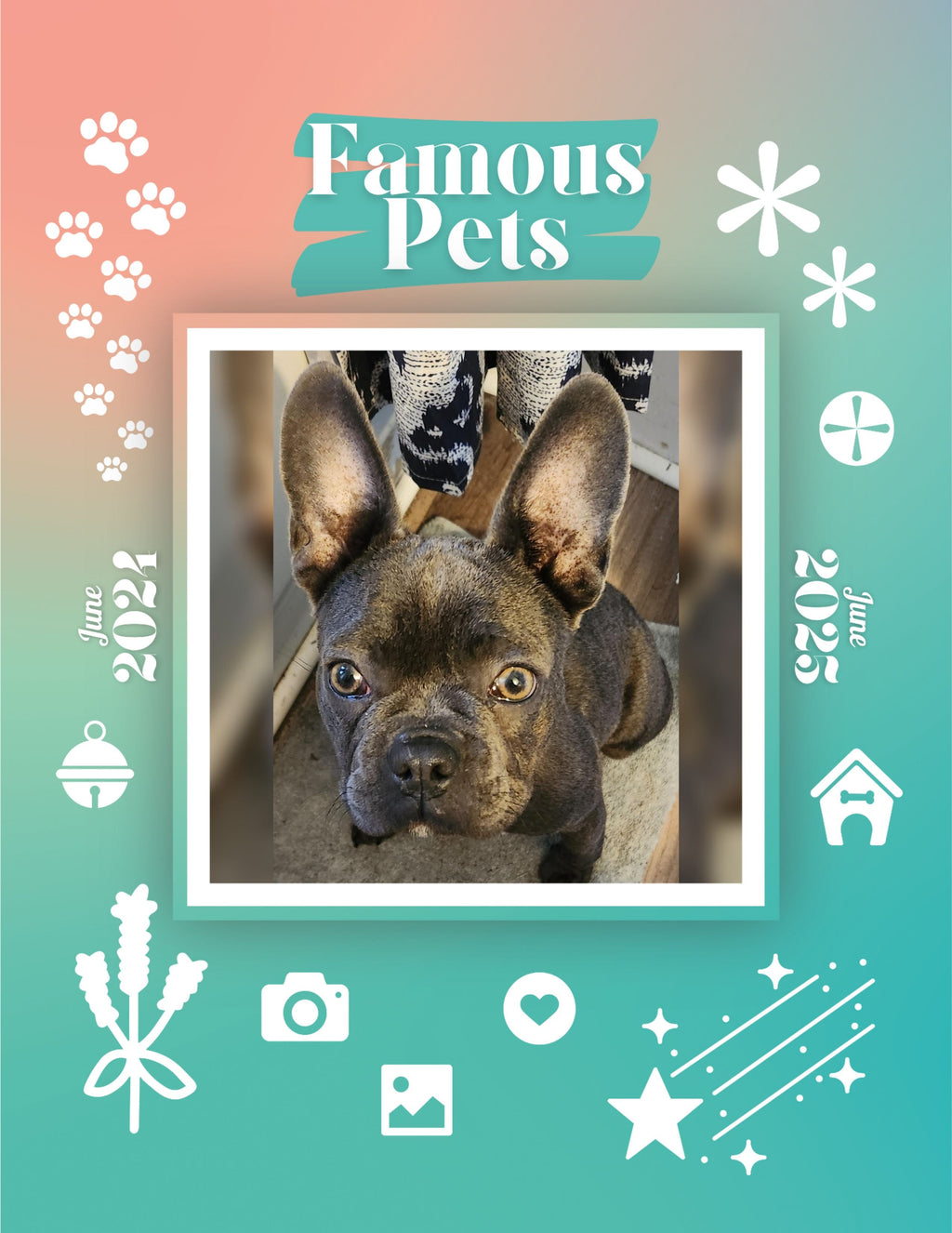 Famous Pets: June 2024-June 2025 Wall Calendar (Pre-Order)