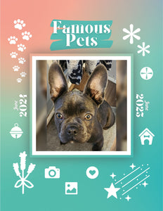 Famous Pets: June 2024-June 2025 Wall Calendar (Pre-Order)