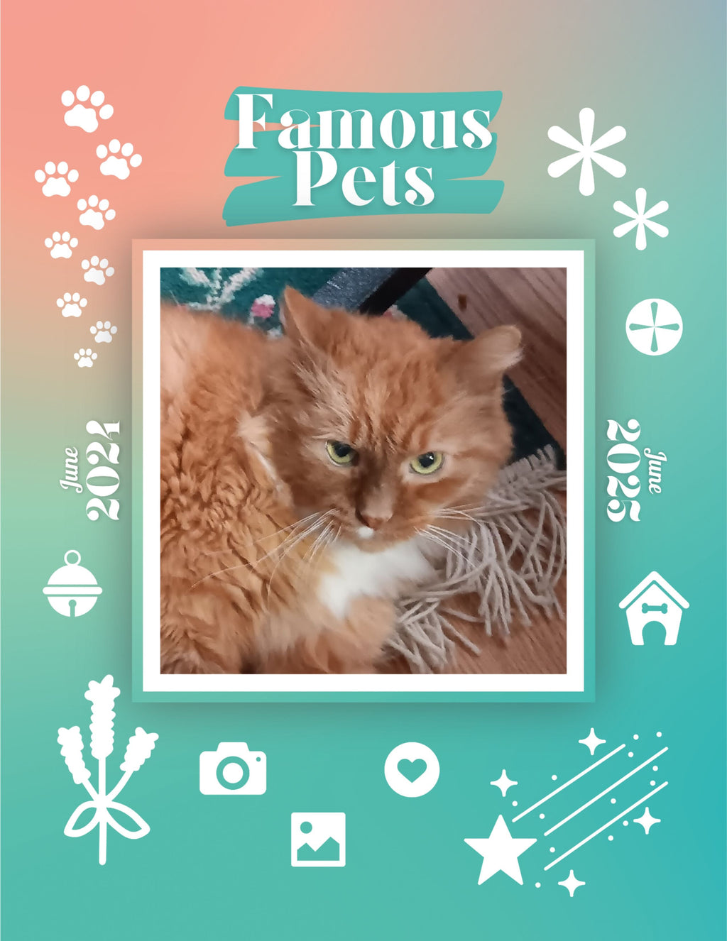 Famous Pets: June 2024-June 2025 Wall Calendar (Pre-Order)
