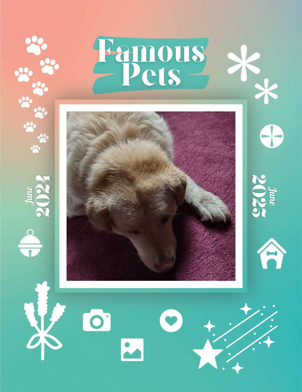 Famous Pets: June 2024-June 2025 Wall Calendar (Pre-Order)