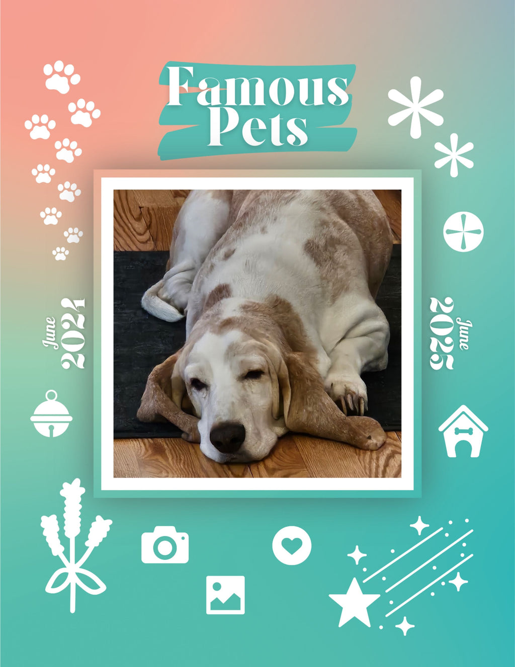 Famous Pets: June 2024-June 2025 Wall Calendar (Pre-Order)
