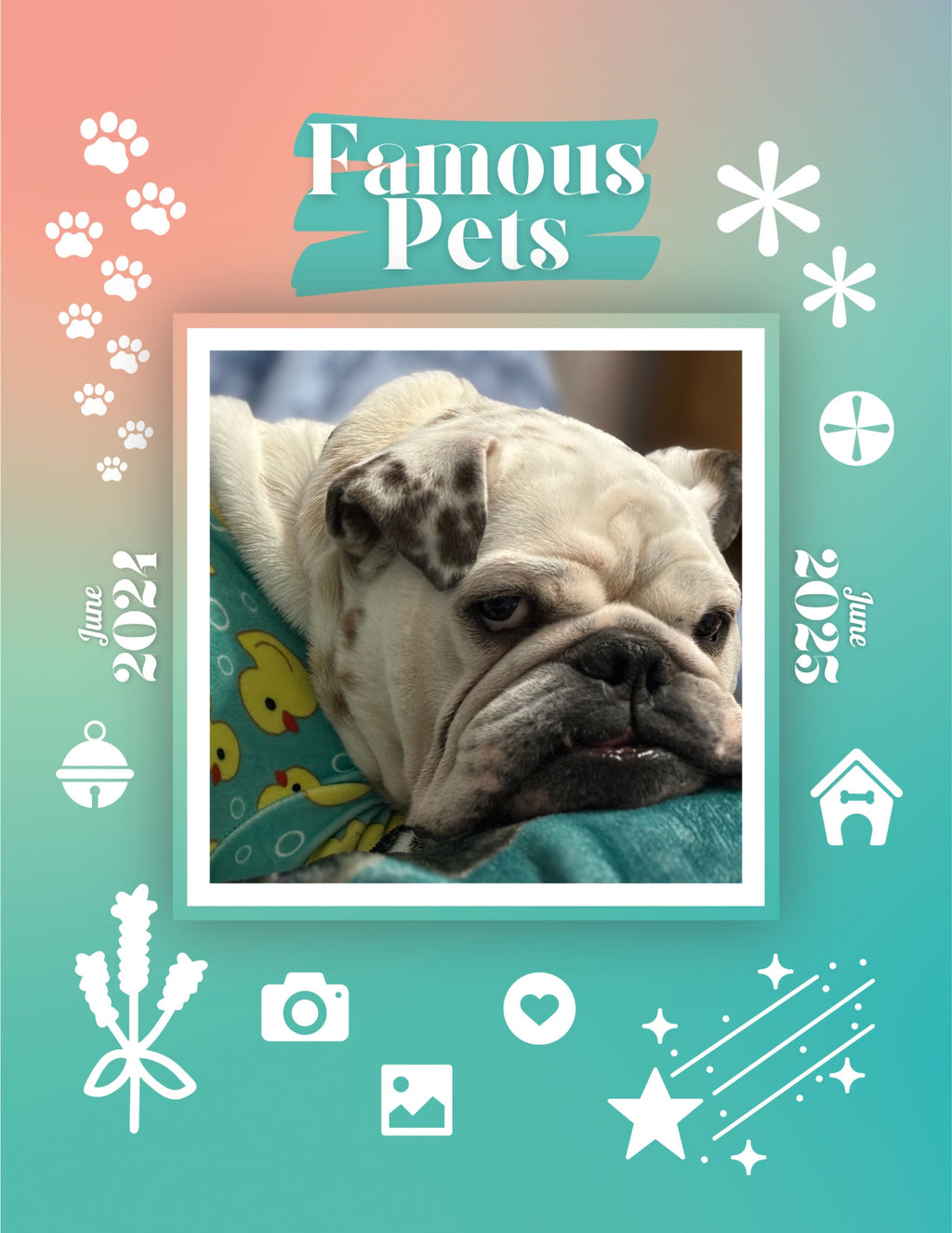 Famous Pets: June 2024-June 2025 Wall Calendar (Pre-Order)