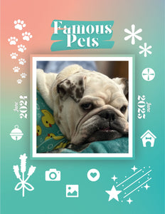 Famous Pets: June 2024-June 2025 Wall Calendar (Pre-Order)