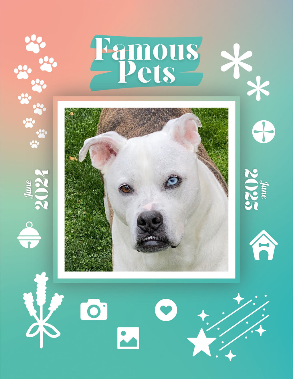 Famous Pets: June 2024-June 2025 Wall Calendar (Pre-Order)
