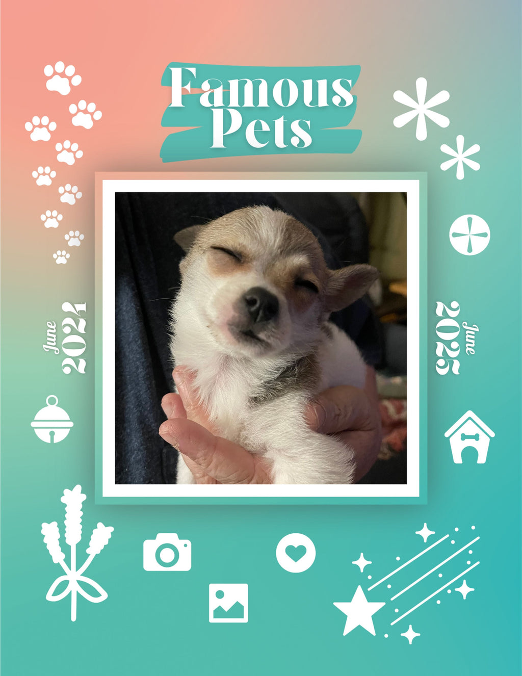 Famous Pets: June 2024-June 2025 Wall Calendar (Pre-Order)