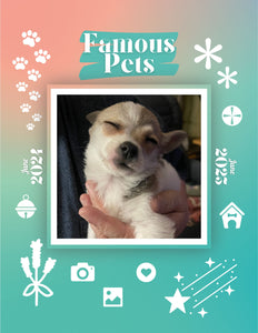 Famous Pets: June 2024-June 2025 Wall Calendar (Pre-Order)