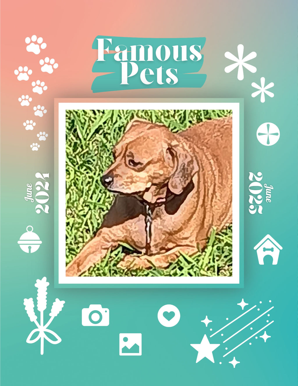 Famous Pets: June 2024-June 2025 Wall Calendar (Pre-Order)