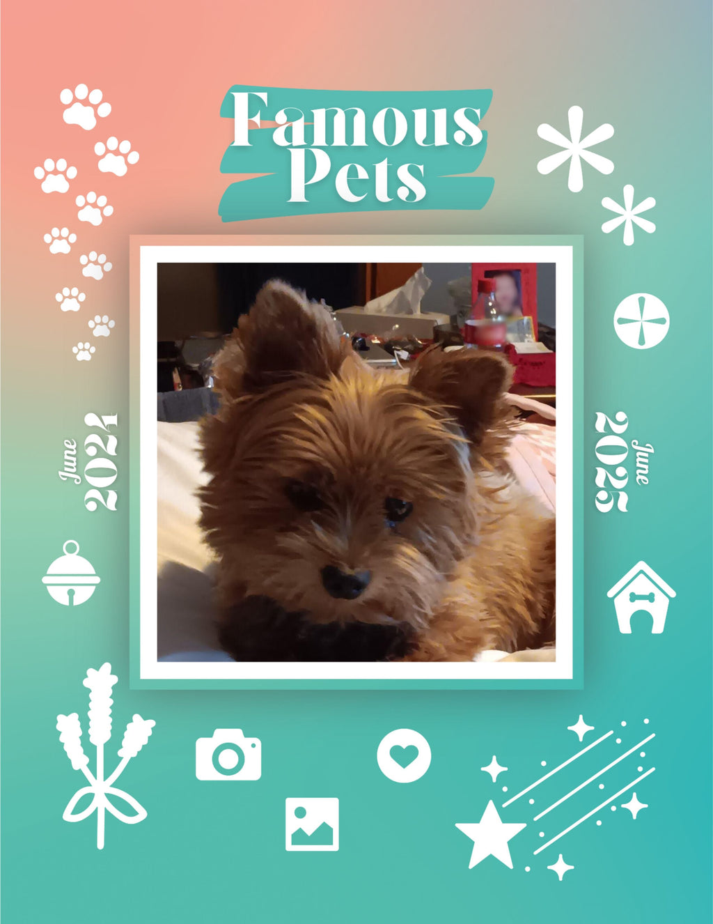 Famous Pets: June 2024-June 2025 Wall Calendar (Pre-Order)