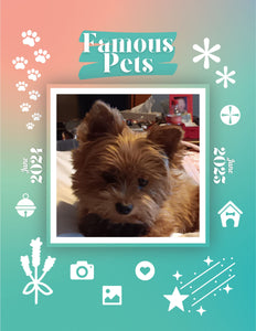 Famous Pets: June 2024-June 2025 Wall Calendar (Pre-Order)