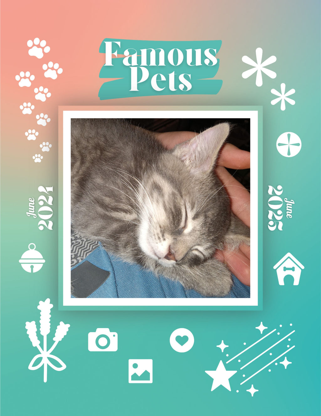 Famous Pets: June 2024-June 2025 Wall Calendar (Pre-Order)