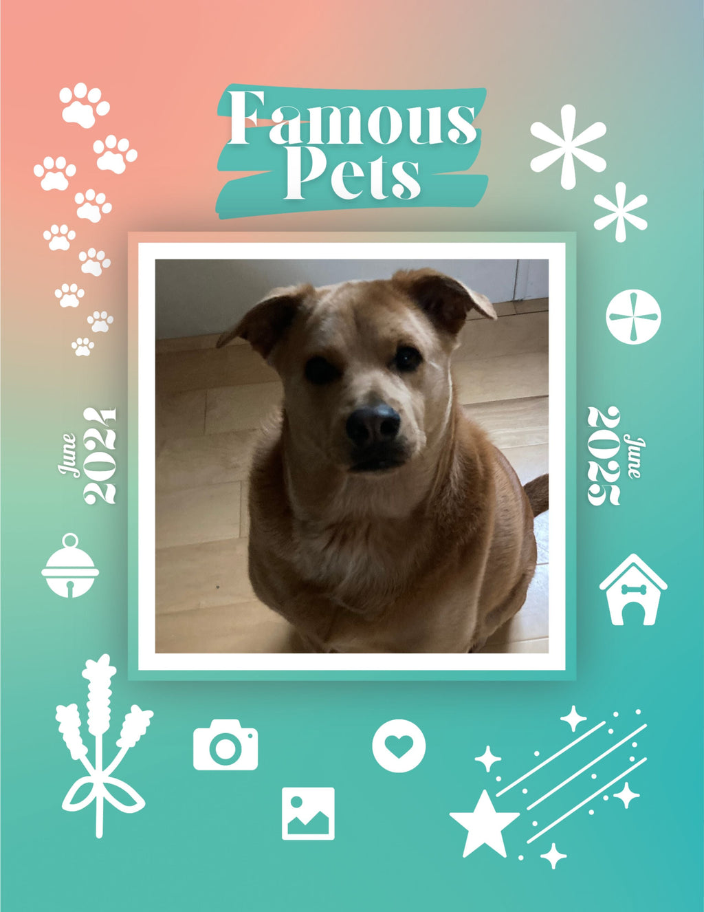Famous Pets: June 2024-June 2025 Wall Calendar (Pre-Order)
