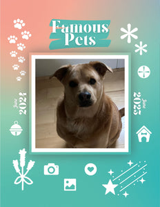 Famous Pets: June 2024-June 2025 Wall Calendar (Pre-Order)