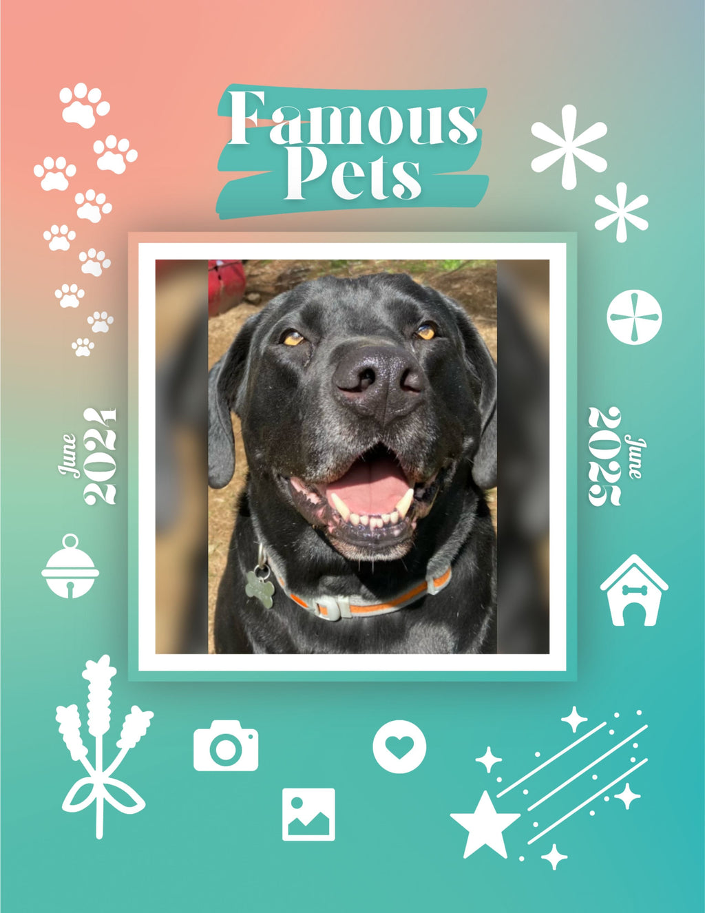 Famous Pets: June 2024-June 2025 Wall Calendar (Pre-Order)
