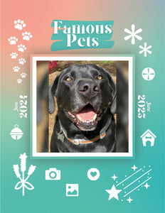 Famous Pets: June 2024-June 2025 Wall Calendar (Pre-Order)