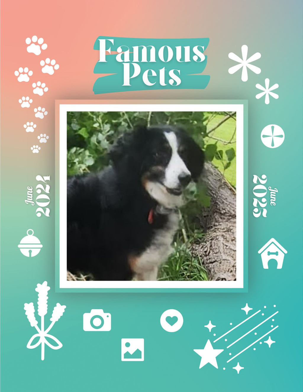 Famous Pets: June 2024-June 2025 Wall Calendar (Pre-Order)