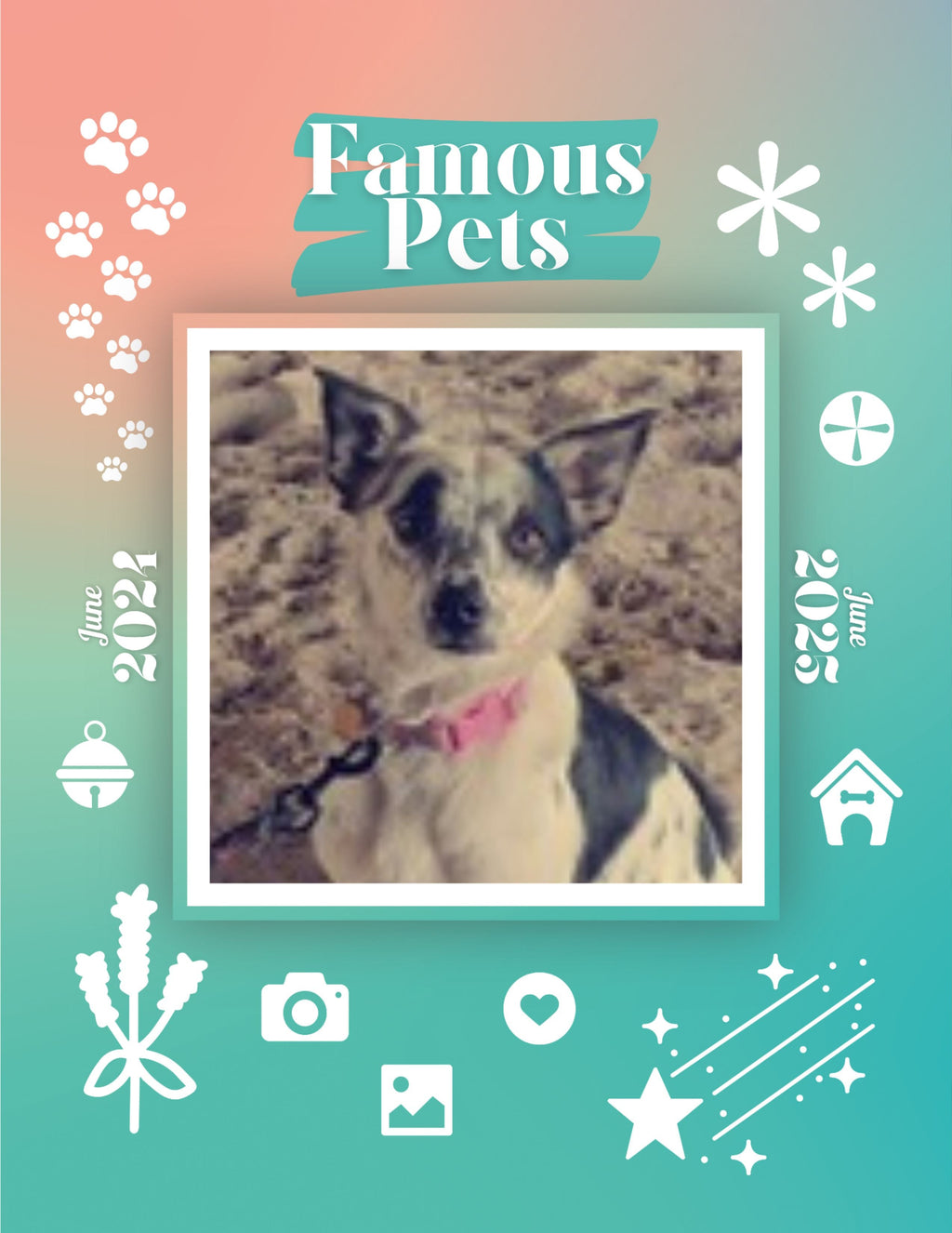 Famous Pets: June 2024-June 2025 Wall Calendar (Pre-Order)