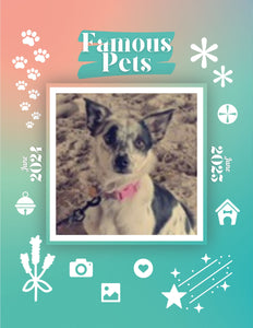 Famous Pets: June 2024-June 2025 Wall Calendar (Pre-Order)