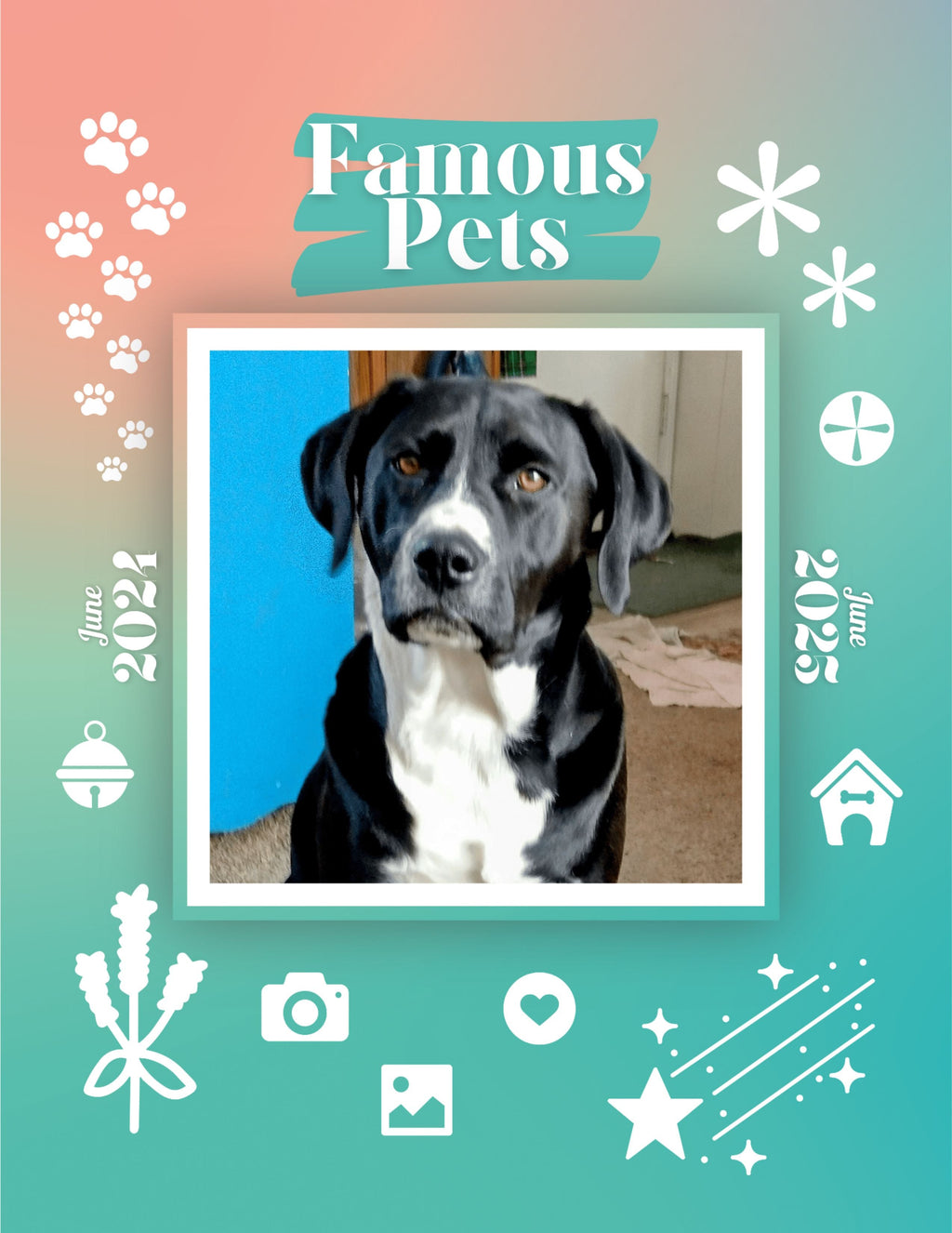Famous Pets: June 2024-June 2025 Wall Calendar (Pre-Order)