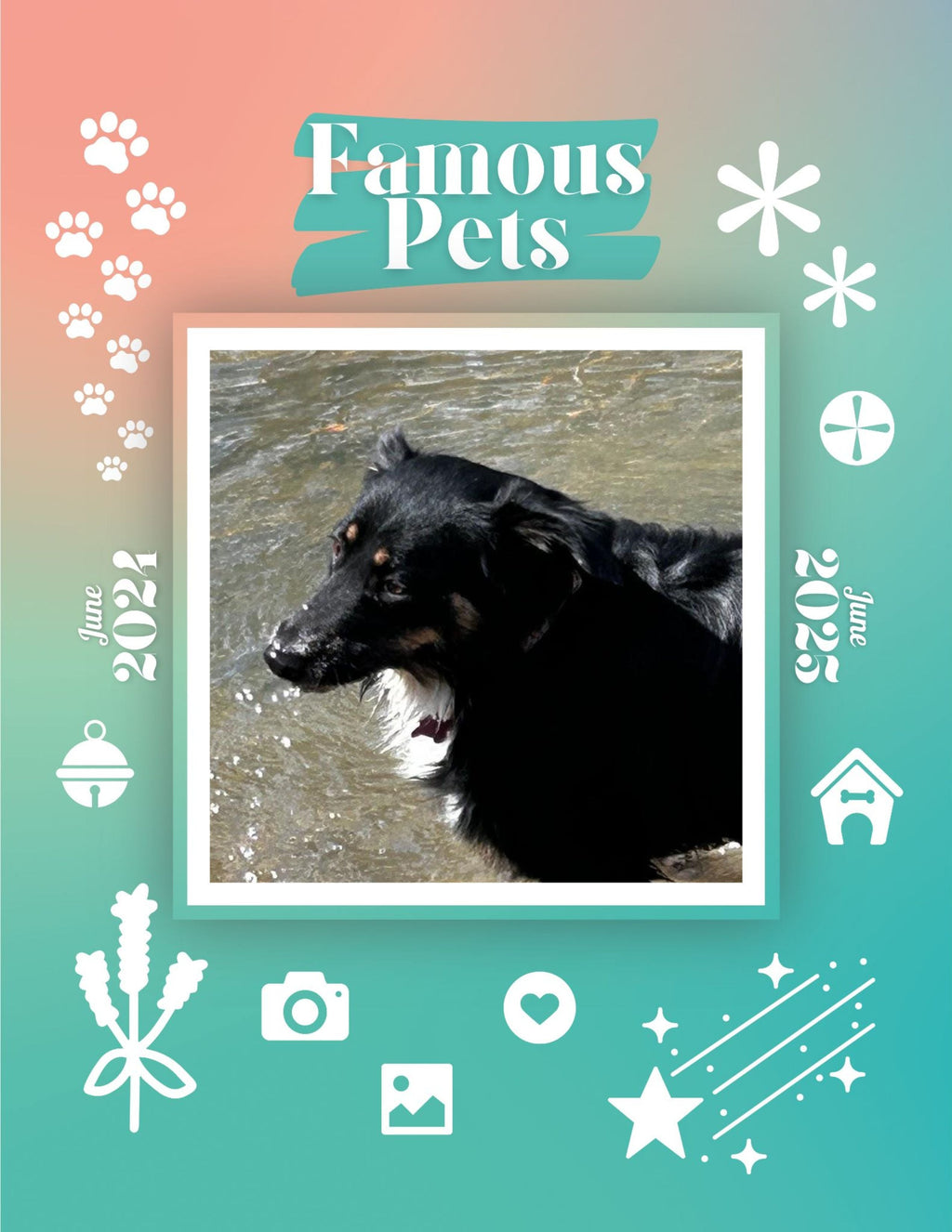 Famous Pets: June 2024-June 2025 Wall Calendar (Pre-Order)