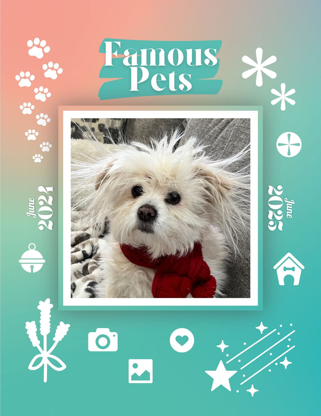 Famous Pets: June 2024-June 2025 Wall Calendar (Pre-Order)