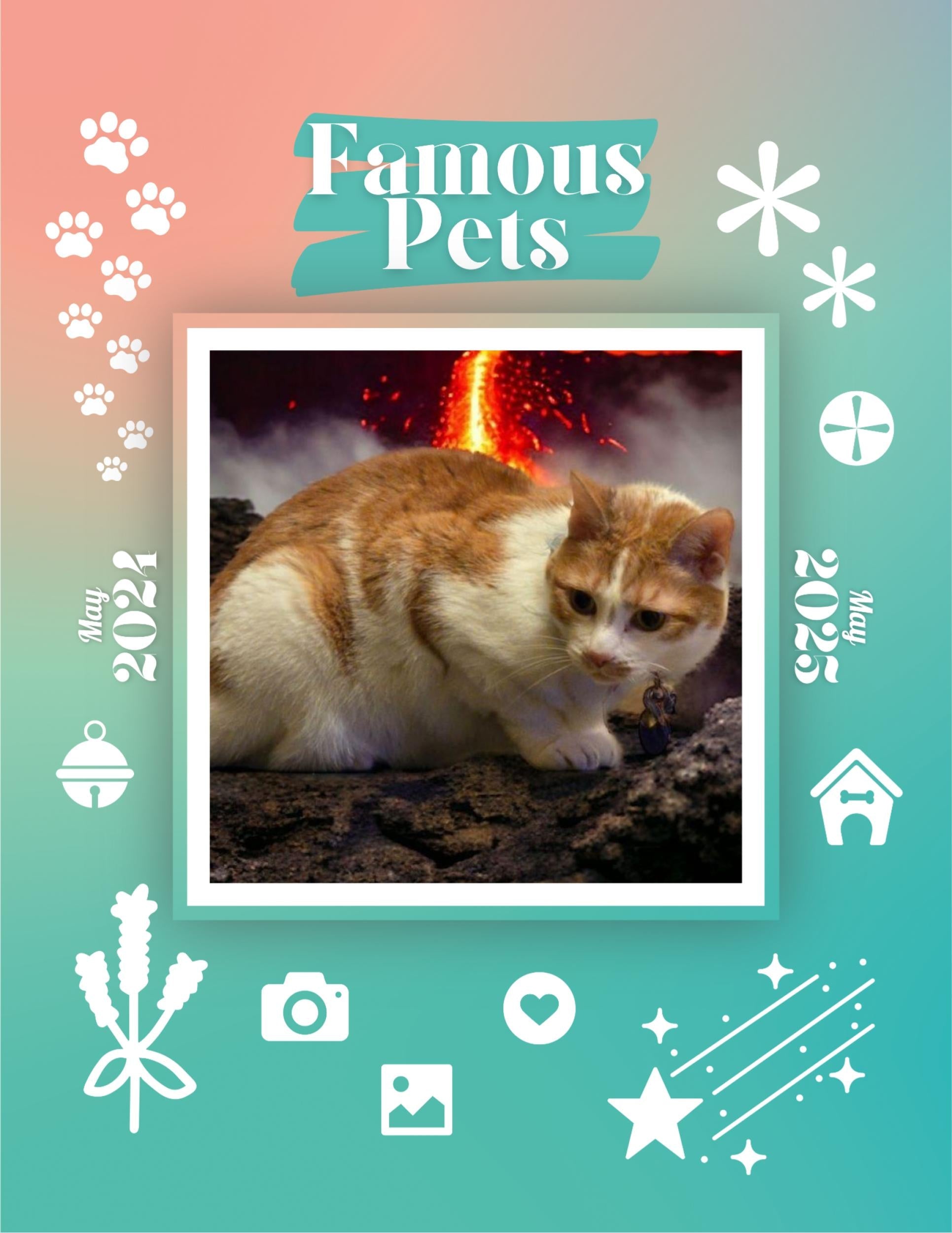 Famous Pets: June 2024-June 2025 Wall Calendar (Pre-Order)