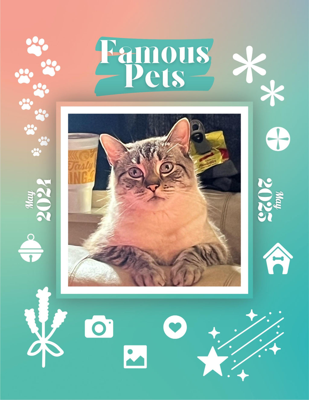 Famous Pets: June 2024-June 2025 Wall Calendar (Pre-Order)
