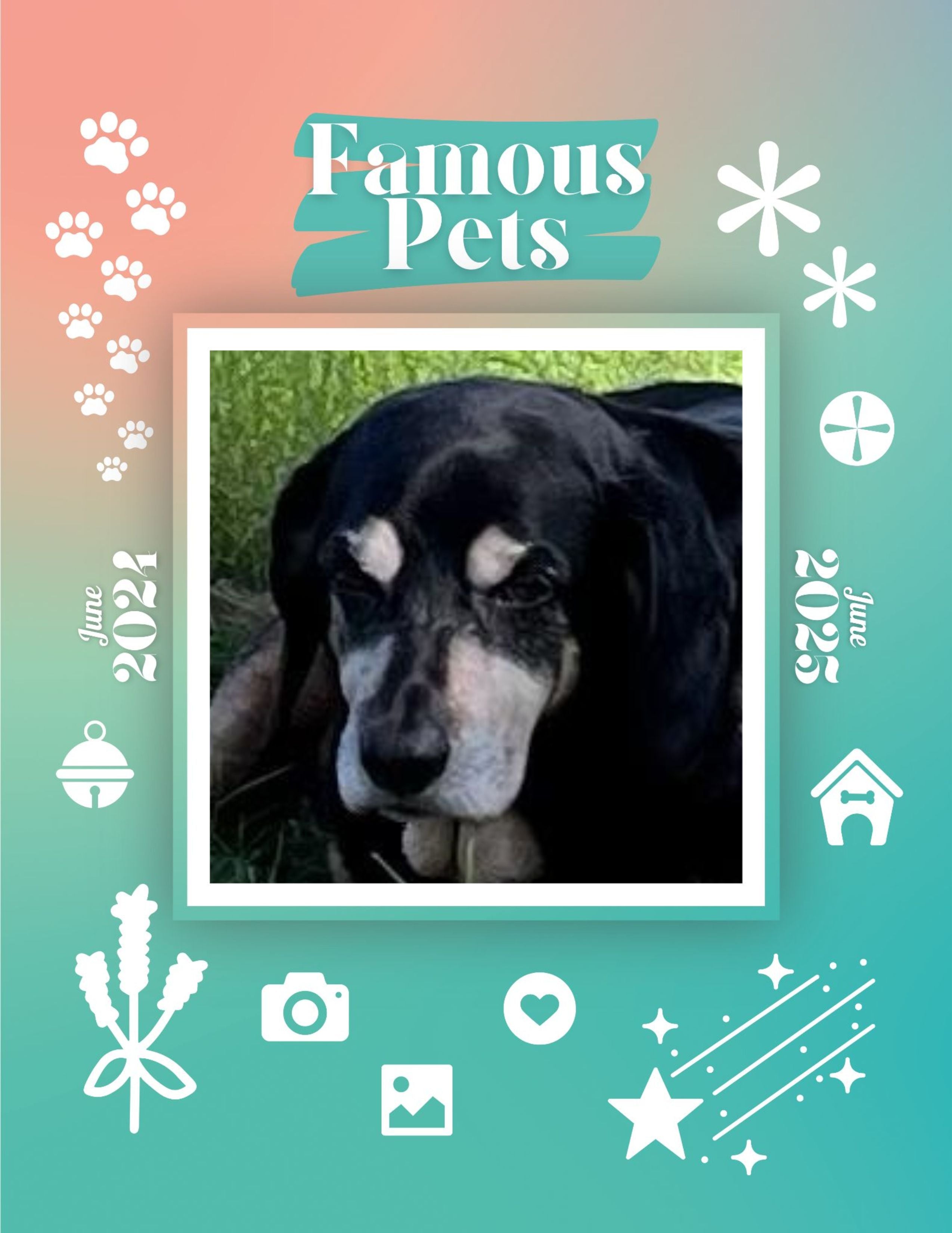 Famous Pets: June 2024-June 2025 Wall Calendar (Pre-Order)