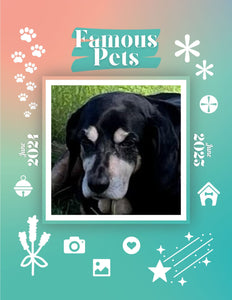 Famous Pets: June 2024-June 2025 Wall Calendar (Pre-Order)